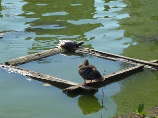 f:id:bata_sun:20160910083911j:plain f:id:bata_sun:20160910083911j:plain