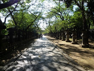 f:id:bata_sun:20160910154738j:plain f:id:bata_sun:20160910154738j:plain