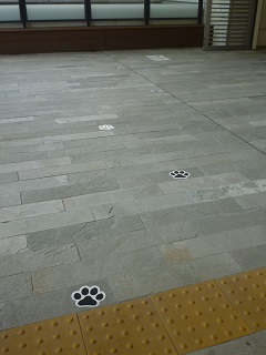 f:id:bata_sun:20160913131649j:plain