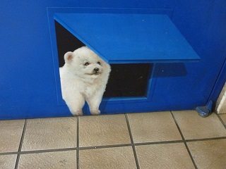 f:id:bata_sun:20160913143243j:plain