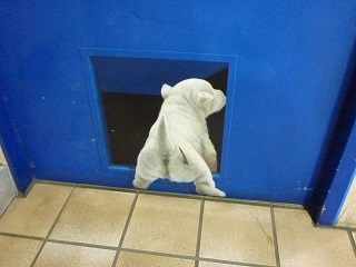 f:id:bata_sun:20160913143252j:plain