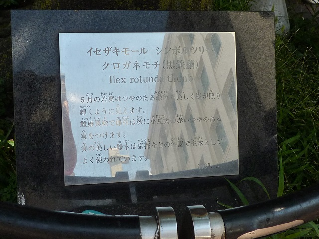 f:id:bata_sun:20160916195800j:plain