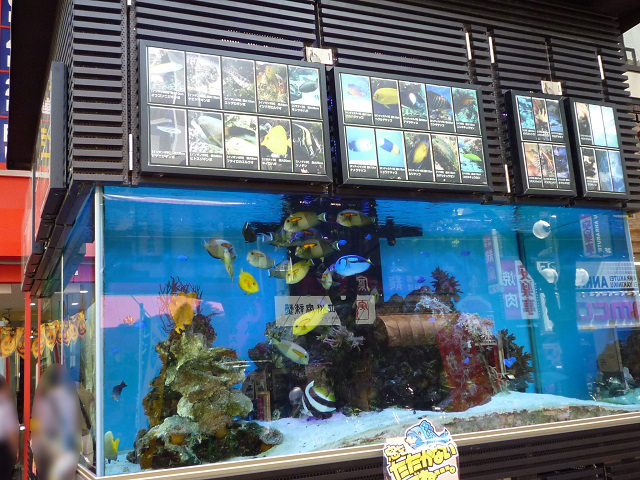 f:id:bata_sun:20160916201332j:plain