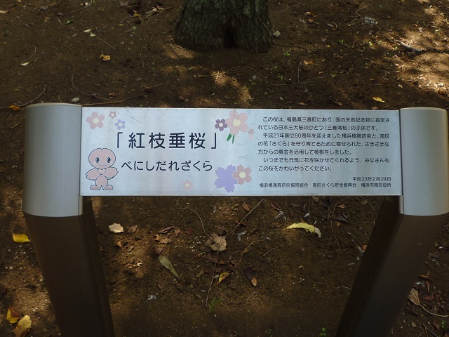 f:id:bata_sun:20160917072842j:plain