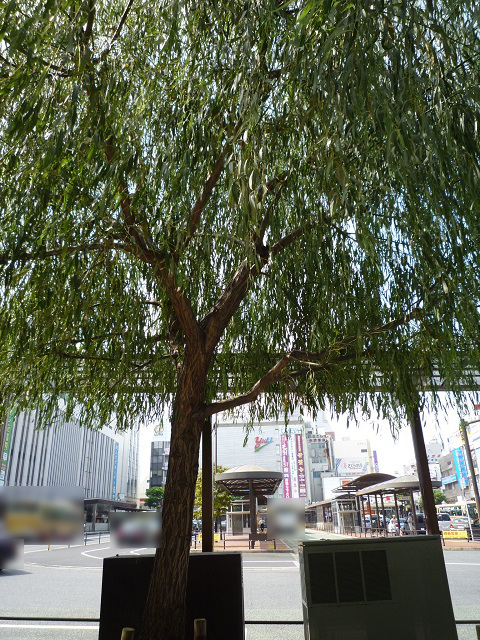 f:id:bata_sun:20160922214617j:plain