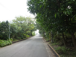 f:id:bata_sun:20160929183908j:plain