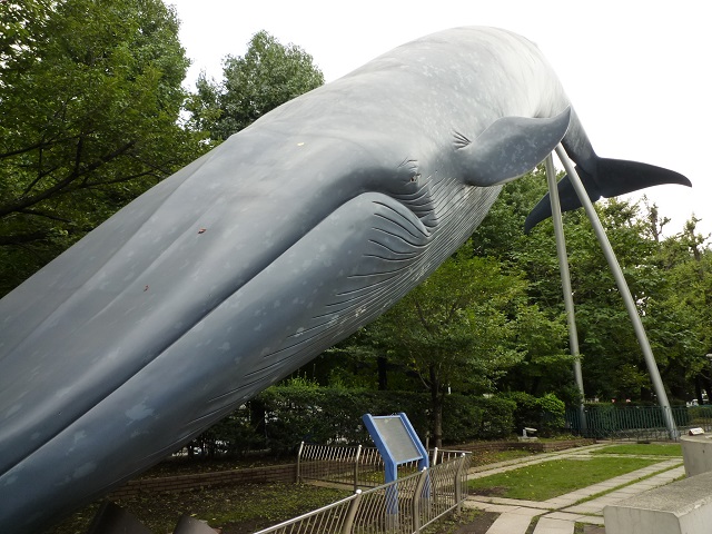 f:id:bata_sun:20161001213158j:plain f:id:bata_sun:20161001213158j:plain