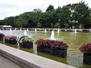 f:id:bata_sun:20161001213448j:plain f:id:bata_sun:20161001213448j:plain