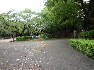 f:id:bata_sun:20161001220159j:plain f:id:bata_sun:20161001220159j:plain