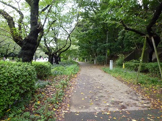 f:id:bata_sun:20161001220219j:plain f:id:bata_sun:20161001220219j:plain