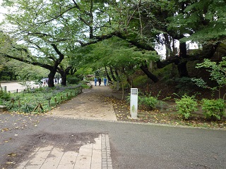 f:id:bata_sun:20161001221045j:plain f:id:bata_sun:20161001221045j:plain