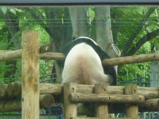 f:id:bata_sun:20161003201959j:plain