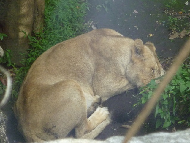 f:id:bata_sun:20161003202121j:plain