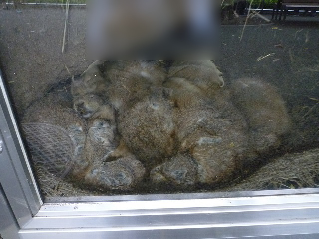 f:id:bata_sun:20161003203429j:plain