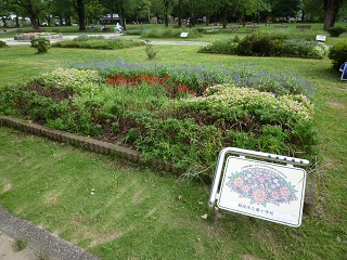 f:id:bata_sun:20161009175105j:plain