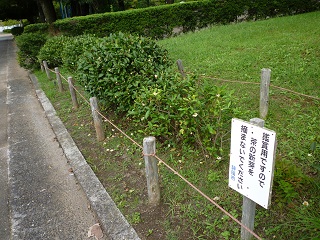 f:id:bata_sun:20161009175243j:plain