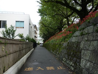 f:id:bata_sun:20161009182416j:plain