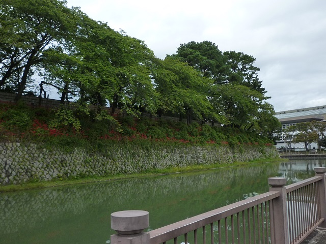 f:id:bata_sun:20161009182759j:plain