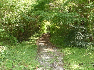 f:id:bata_sun:20161015204812j:plain