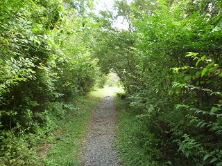 f:id:bata_sun:20161015204824j:plain