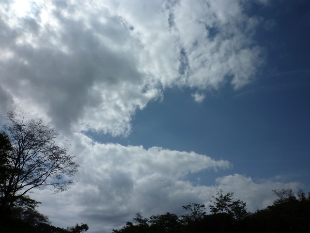f:id:bata_sun:20161015205430j:plain