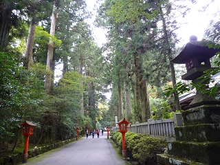 f:id:bata_sun:20161016192534j:plain