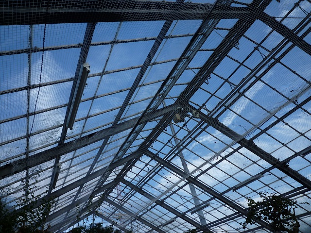 f:id:bata_sun:20161017111908j:plain f:id:bata_sun:20161017111908j:plain