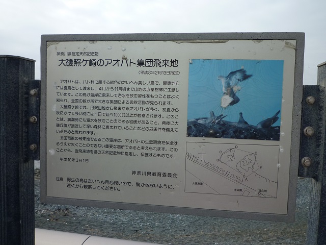 f:id:bata_sun:20161018203832j:plain