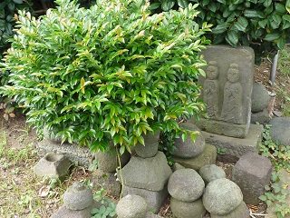 f:id:bata_sun:20161020184236j:plain