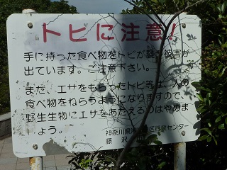 f:id:bata_sun:20161027200229j:plain