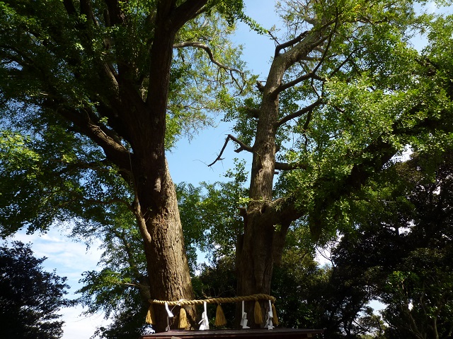 f:id:bata_sun:20161031190955j:plain f:id:bata_sun:20161031190955j:plain