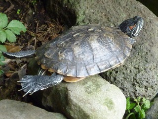 f:id:bata_sun:20161031192241j:plain f:id:bata_sun:20161031192241j:plain