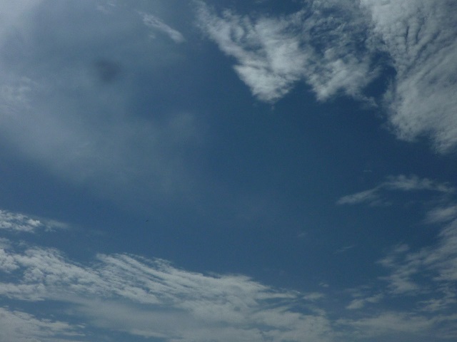 f:id:bata_sun:20161031194912j:plain f:id:bata_sun:20161031194912j:plain