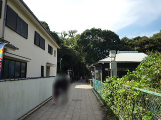 f:id:bata_sun:20161101192244j:plain