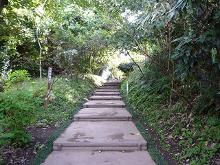 f:id:bata_sun:20161101194848j:plain