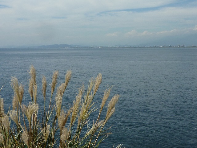 f:id:bata_sun:20161101200723j:plain