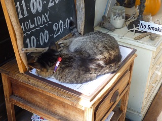 f:id:bata_sun:20161106192826j:plain