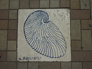 f:id:bata_sun:20161108081733j:plain