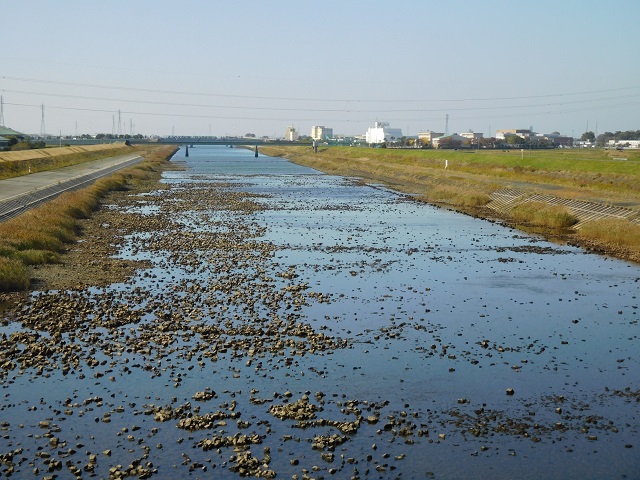 f:id:bata_sun:20161114142924j:plain f:id:bata_sun:20161114142924j:plain