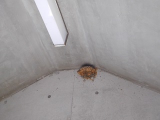 f:id:bata_sun:20161114180214j:plain f:id:bata_sun:20161114180214j:plain