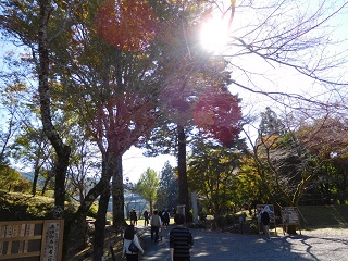 f:id:bata_sun:20161114181347j:plain f:id:bata_sun:20161114181347j:plain