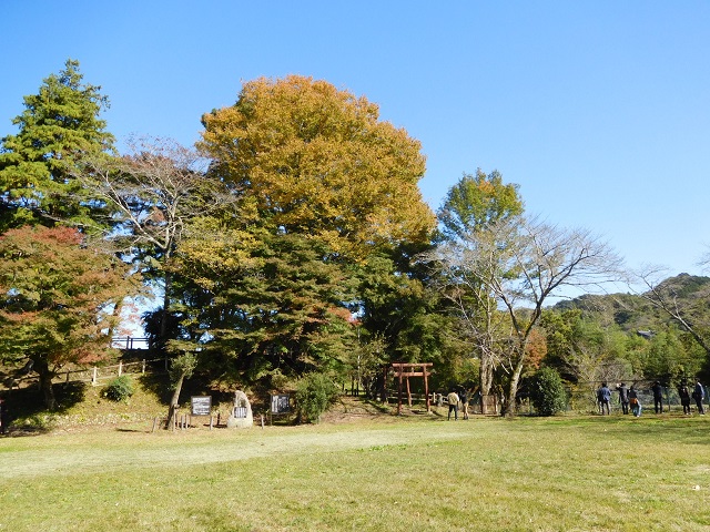 f:id:bata_sun:20161114183825j:plain f:id:bata_sun:20161114183825j:plain