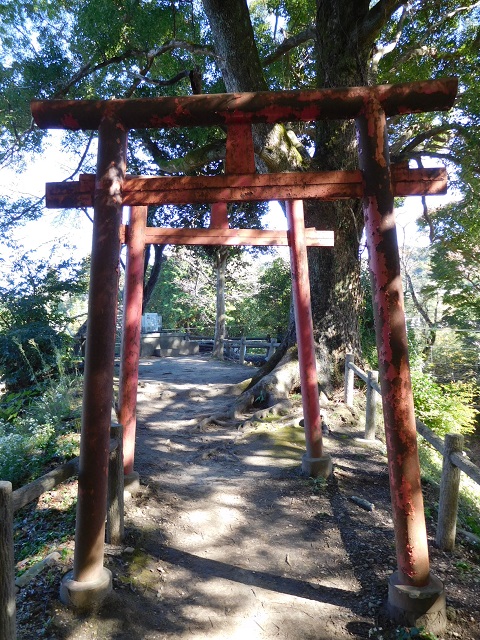 f:id:bata_sun:20161114185220j:plain f:id:bata_sun:20161114185220j:plain