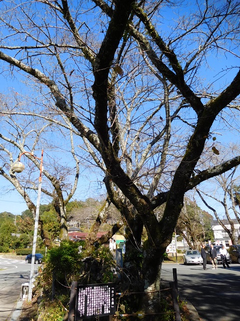 f:id:bata_sun:20161114185806j:plain f:id:bata_sun:20161114185806j:plain