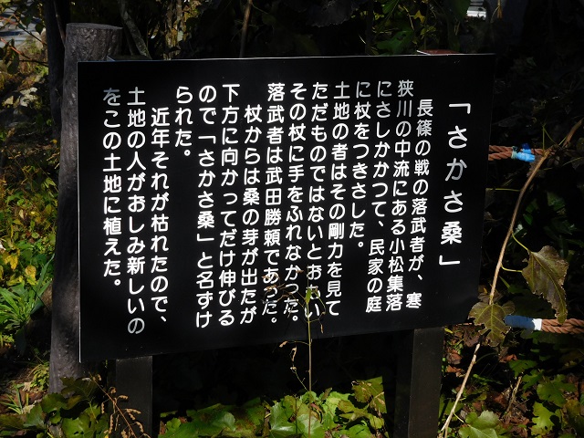 f:id:bata_sun:20161114185817j:plain f:id:bata_sun:20161114185817j:plain