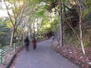 f:id:bata_sun:20161116192715j:plain