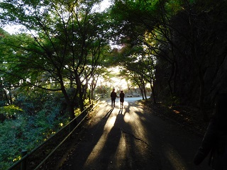 f:id:bata_sun:20161116192728j:plain