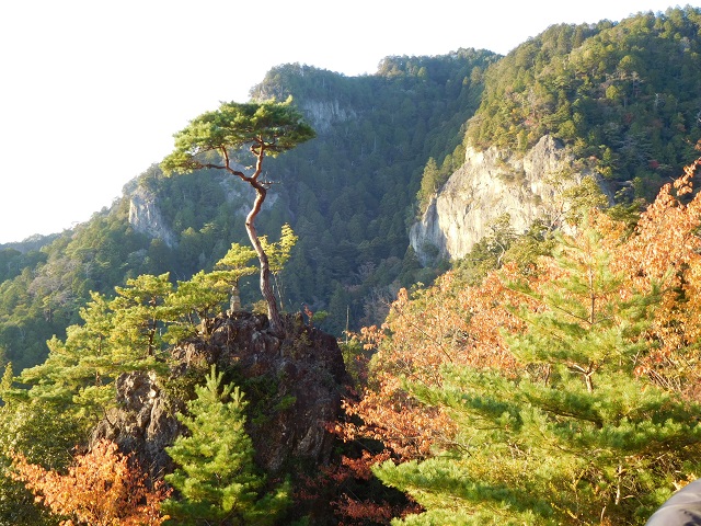 f:id:bata_sun:20161116194356j:plain