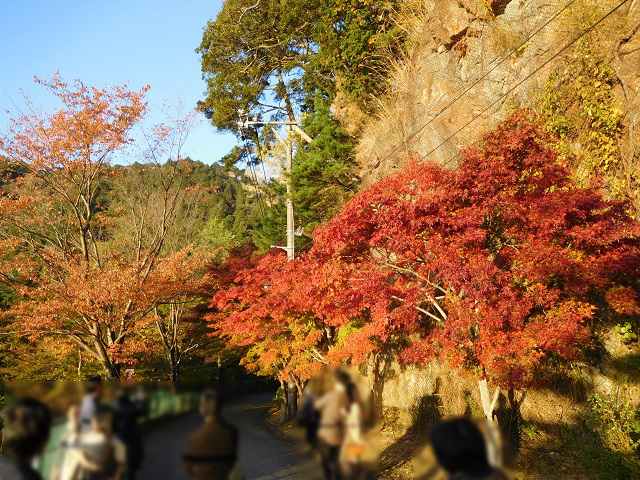 f:id:bata_sun:20161116195559j:plain