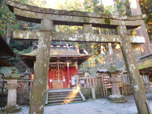 f:id:bata_sun:20161116201449j:plain